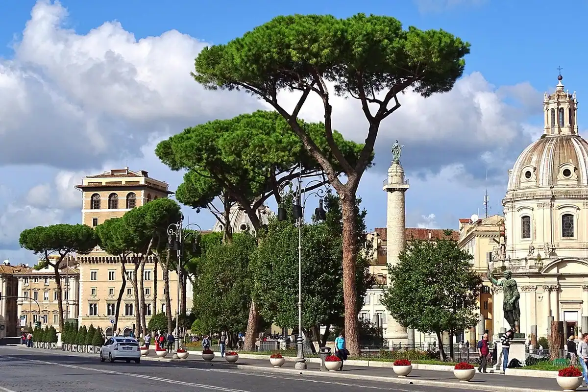 Coloana lui Traian și biserici din Roma, printre pini de pe marginea bulevardului
