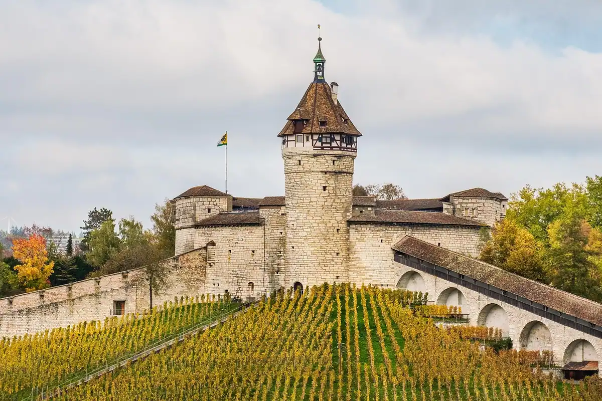 Cetate medievală cu turn pe un deal, înconjurată de podgorii toamna