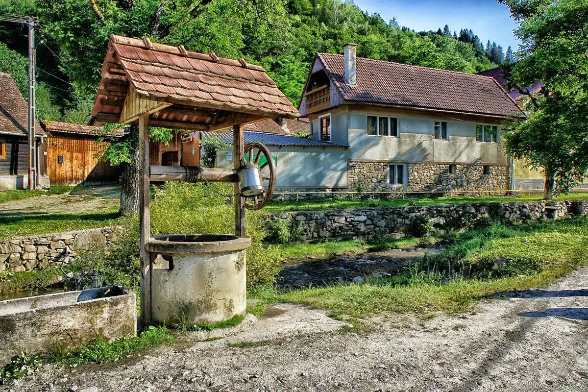 Gospodărie de la țară cu casă, fântână și hambar, înconjurată de copaci și pădure