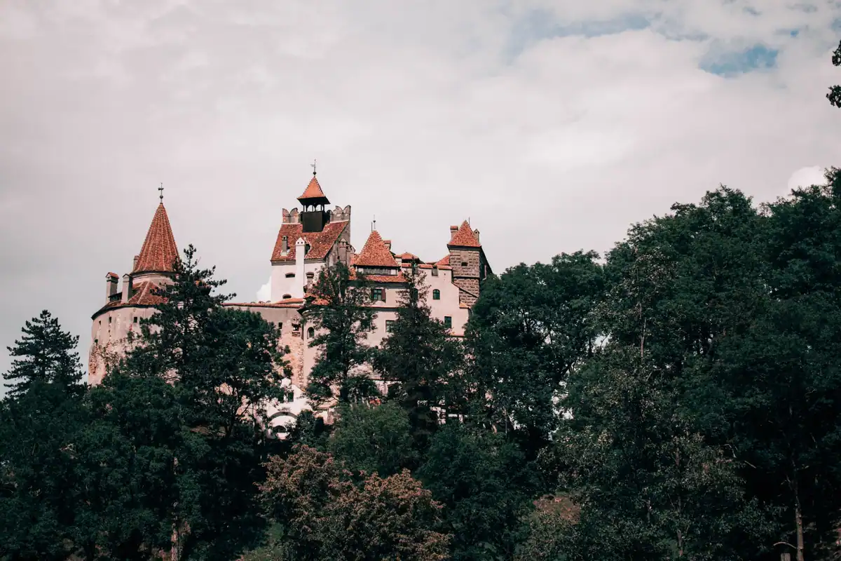 Castelul Bran printre brazi, pe fundal de cer pastelat